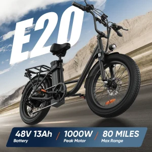 7-Speed E-Bike with Dual Disc Brake