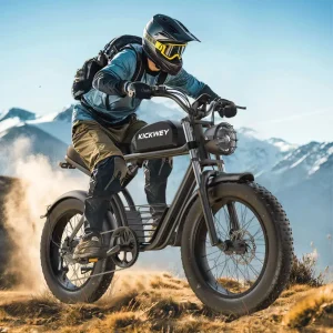 Adult Electric bicycle 20 Inch Fat Tire